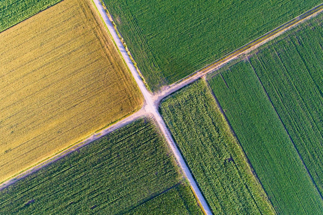 0008.jpg
