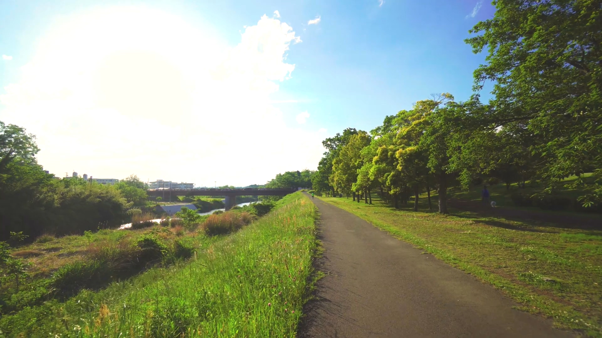yt1s.com - 4KJAPAN Tohoku Miyagi Sendai SPRING IN SENDAI 春の仙台 Ultra HD Sony α α6400 _1080p.mp4_20221227_093952.923.jpg